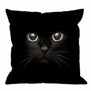 Chat noir