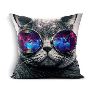 Oreiller chat Art Vendeur Pro