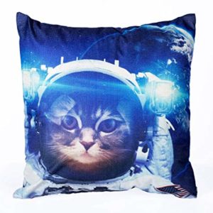 Chat dans l'espace