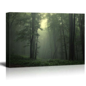 Décoration murale moderne Beau faisceau de lumière dans une forêt Art vendeur Pro