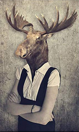 Animaux WTF 3 Art Vendeur Pro