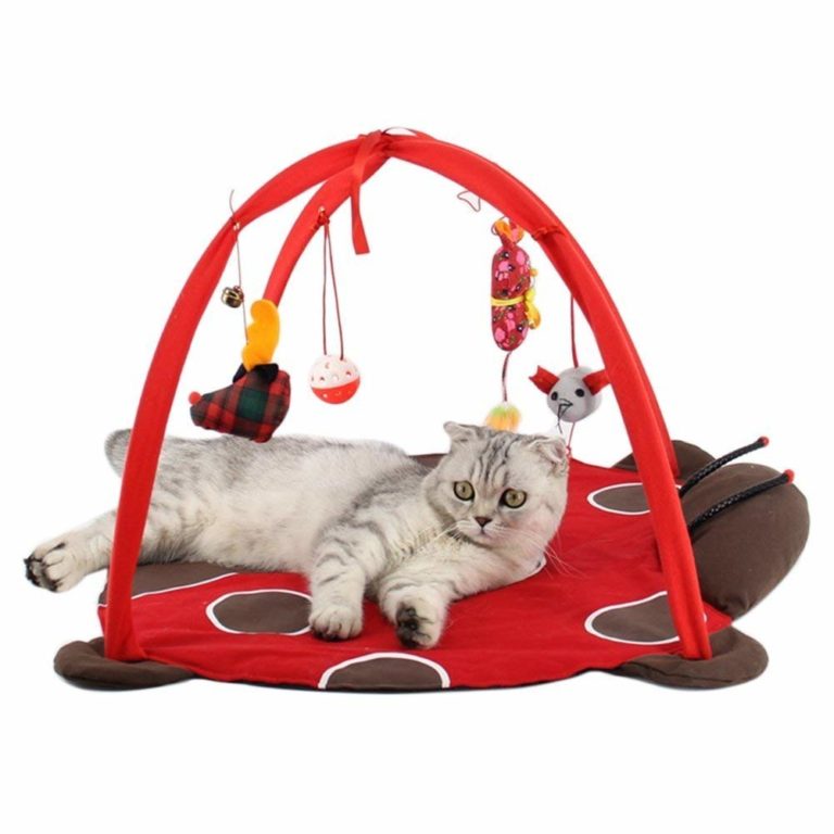 Tapis de jeu pour chat ou chien avec jouets suspendus Divers Vendeur Pro