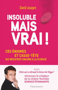 Insoluble mais vrai Ebook Vendeur Pro