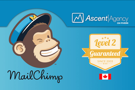 Déléguer la création de contenu Create A Custom Mail Chimp Campaign Vendeur Pro