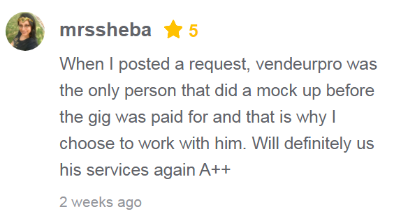 fiverr review vendeur pro