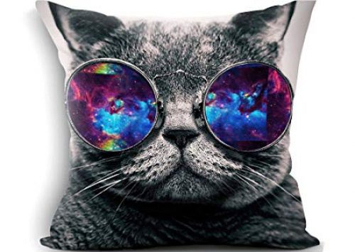 Oreiller chat Art Vendeur Pro Oreiller chat Art Vendeur Pro